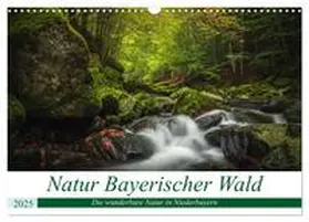 CALVENDO / Thilo Wagner |  Natur Bayerischer Wald (Wandkalender 2025 DIN A3 quer), CALVENDO Monatskalender | Sonstiges |  Sack Fachmedien