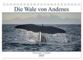 CALVENDO / Leimer |  Die Wale von Andenes (Tischkalender 2025 DIN A5 quer), CALVENDO Monatskalender | Sonstiges |  Sack Fachmedien