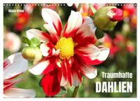 CALVENDO / Kruse |  Traumhafte Dahlien (Wandkalender 2025 DIN A3 quer), CALVENDO Monatskalender | Sonstiges |  Sack Fachmedien