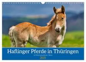 CALVENDO / Irmer |  Haflinger Pferde in Thüringen (Wandkalender 2025 DIN A3 quer), CALVENDO Monatskalender | Sonstiges |  Sack Fachmedien