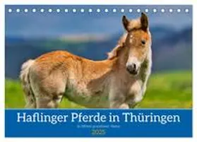 CALVENDO / Irmer |  Haflinger Pferde in Thüringen (Tischkalender 2025 DIN A5 quer), CALVENDO Monatskalender | Sonstiges |  Sack Fachmedien