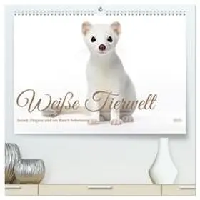 CALVENDO / Tapper |  Weiße Tierwelt (hochwertiger Premium Wandkalender 2025 DIN A2 quer), Kunstdruck in Hochglanz | Sonstiges |  Sack Fachmedien