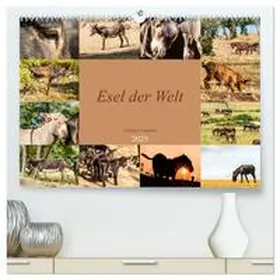 CALVENDO / Bölts |  Esel der Welt - Lieblings Langohren (hochwertiger Premium Wandkalender 2025 DIN A2 quer), Kunstdruck in Hochglanz | Sonstiges |  Sack Fachmedien