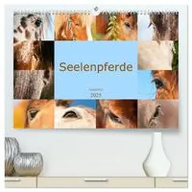 CALVENDO / Bölts |  Seelenpferde - Augenblicke (hochwertiger Premium Wandkalender 2025 DIN A2 quer), Kunstdruck in Hochglanz | Sonstiges |  Sack Fachmedien