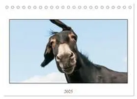 CALVENDO / Bölts |  Esel Lebensfreude - Spaß mit Langohren (Tischkalender 2025 DIN A5 quer), CALVENDO Monatskalender | Sonstiges |  Sack Fachmedien