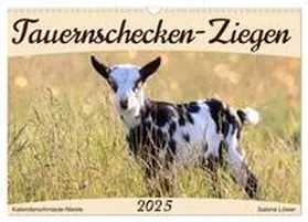 CALVENDO / Löwer |  Tauernschecken-Ziegen (Wandkalender 2025 DIN A3 quer), CALVENDO Monatskalender | Sonstiges |  Sack Fachmedien