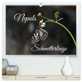 CALVENDO / Hennighaußen |  Nepals Schmetterlinge (hochwertiger Premium Wandkalender 2025 DIN A2 quer), Kunstdruck in Hochglanz | Sonstiges |  Sack Fachmedien