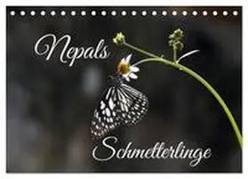 CALVENDO / Hennighaußen |  Nepals Schmetterlinge (Tischkalender 2025 DIN A5 quer), CALVENDO Monatskalender | Sonstiges |  Sack Fachmedien