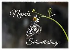 CALVENDO / Hennighaußen |  Nepals Schmetterlinge (Wandkalender 2025 DIN A2 quer), CALVENDO Monatskalender | Sonstiges |  Sack Fachmedien