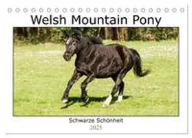 CALVENDO / Bölts |  Welsh Mountain Pony - Schwarze Schönheit (Tischkalender 2025 DIN A5 quer), CALVENDO Monatskalender | Sonstiges |  Sack Fachmedien