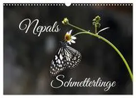 CALVENDO / Hennighaußen |  Nepals Schmetterlinge (Wandkalender 2025 DIN A3 quer), CALVENDO Monatskalender | Sonstiges |  Sack Fachmedien