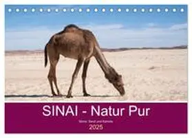 CALVENDO / Wiens |  Sinai - Natur Pur (Tischkalender 2025 DIN A5 quer), CALVENDO Monatskalender | Sonstiges |  Sack Fachmedien
