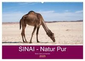 CALVENDO / Wiens |  Sinai - Natur Pur (Wandkalender 2025 DIN A2 quer), CALVENDO Monatskalender | Sonstiges |  Sack Fachmedien