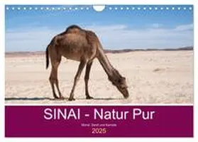 CALVENDO / Wiens |  Sinai - Natur Pur (Wandkalender 2025 DIN A4 quer), CALVENDO Monatskalender | Sonstiges |  Sack Fachmedien