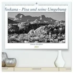 CALVENDO / Borghini |  Toskana - Pisa und seine Umgebung (hochwertiger Premium Wandkalender 2025 DIN A2 quer), Kunstdruck in Hochglanz | Sonstiges |  Sack Fachmedien