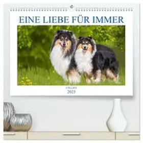 CALVENDO / Starick |  Eine Liebe für immer - Collies (hochwertiger Premium Wandkalender 2025 DIN A2 quer), Kunstdruck in Hochglanz | Sonstiges |  Sack Fachmedien