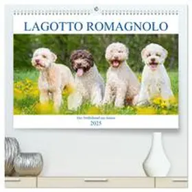 CALVENDO / Starick |  Lagotto Romagnolo - Der Trüffelhund aus Italien (hochwertiger Premium Wandkalender 2025 DIN A2 quer), Kunstdruck in Hochglanz | Sonstiges |  Sack Fachmedien