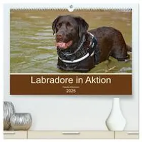 CALVENDO / Kleemann |  Labradore in Aktion (hochwertiger Premium Wandkalender 2025 DIN A2 quer), Kunstdruck in Hochglanz | Sonstiges |  Sack Fachmedien