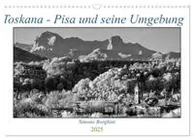 CALVENDO / Borghini | Toskana - Pisa und seine Umgebung (Wandkalender 2025 DIN A3 quer), CALVENDO Monatskalender | Sonstiges | 978-3-435-04825-0 | www.sack.de