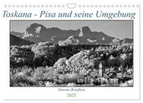 CALVENDO / Borghini |  Toskana - Pisa und seine Umgebung (Wandkalender 2025 DIN A4 quer), CALVENDO Monatskalender | Sonstiges |  Sack Fachmedien