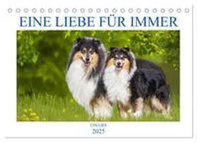 CALVENDO / Starick |  Eine Liebe für immer - Collies (Tischkalender 2025 DIN A5 quer), CALVENDO Monatskalender | Sonstiges |  Sack Fachmedien