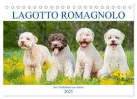 CALVENDO / Starick |  Lagotto Romagnolo - Der Trüffelhund aus Italien (Tischkalender 2025 DIN A5 quer), CALVENDO Monatskalender | Sonstiges |  Sack Fachmedien