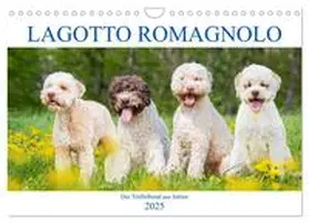 CALVENDO / Starick |  Lagotto Romagnolo - Der Trüffelhund aus Italien (Wandkalender 2025 DIN A4 quer), CALVENDO Monatskalender | Sonstiges |  Sack Fachmedien