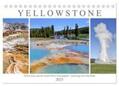 Hahn / CALVENDO |  Yellowstone und der Grand Teton Nationalpark - unterwegs mit Julia Hahn (Tischkalender 2025 DIN A5 quer), CALVENDO Monatskalender | Sonstiges |  Sack Fachmedien