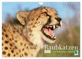 CALVENDO |  Raubkatzen: Geschmeidige Jäger (Wandkalender 2025 DIN A4 quer), CALVENDO Monatskalender | Sonstiges |  Sack Fachmedien