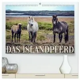CALVENDO / Krämer |  Das Islandpferd (hochwertiger Premium Wandkalender 2025 DIN A2 quer), Kunstdruck in Hochglanz | Sonstiges |  Sack Fachmedien