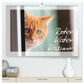 CALVENDO / Löwer |  Roter Kater Kasimir (hochwertiger Premium Wandkalender 2025 DIN A2 quer), Kunstdruck in Hochglanz | Sonstiges |  Sack Fachmedien