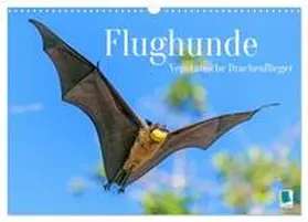 CALVENDO |  Flughunde: Vegetarische Drachenflieger (Wandkalender 2025 DIN A3 quer), CALVENDO Monatskalender | Sonstiges |  Sack Fachmedien