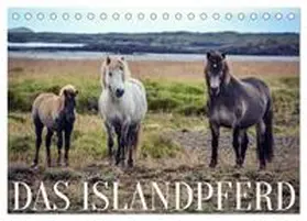 CALVENDO / Krämer |  Das Islandpferd (Tischkalender 2025 DIN A5 quer), CALVENDO Monatskalender | Sonstiges |  Sack Fachmedien