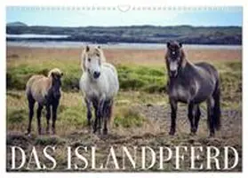 CALVENDO / Krämer |  Das Islandpferd (Wandkalender 2025 DIN A3 quer), CALVENDO Monatskalender | Sonstiges |  Sack Fachmedien