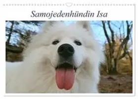 CALVENDO / Valentino |  Samojedenhündin Isa (Wandkalender 2025 DIN A3 quer), CALVENDO Monatskalender | Sonstiges |  Sack Fachmedien
