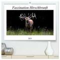 Fett / CALVENDO |  Faszination Hirschbrunft (hochwertiger Premium Wandkalender 2025 DIN A2 quer), Kunstdruck in Hochglanz | Sonstiges |  Sack Fachmedien