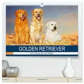CALVENDO / Starick |  Golden Retriever - Ein Freund auf vier Pfoten (hochwertiger Premium Wandkalender 2025 DIN A2 quer), Kunstdruck in Hochglanz | Sonstiges |  Sack Fachmedien