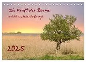 CALVENDO / Rogalski |  Die Kraft der Bäume (Tischkalender 2025 DIN A5 quer), CALVENDO Monatskalender | Sonstiges |  Sack Fachmedien