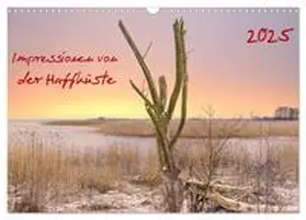 CALVENDO / Rogalski |  Impressionen von der Haffküste (Wandkalender 2025 DIN A3 quer), CALVENDO Monatskalender | Sonstiges |  Sack Fachmedien