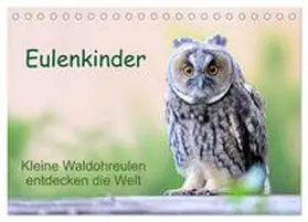 CALVENDO / Müller |  Eulenkinder - Kleine Waldohreulen entdecken die Welt (Tischkalender 2025 DIN A5 quer), CALVENDO Monatskalender | Sonstiges |  Sack Fachmedien