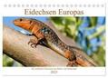 Simlinger / CALVENDO |  Eidechsen Europas (Tischkalender 2025 DIN A5 quer), CALVENDO Monatskalender | Sonstiges |  Sack Fachmedien
