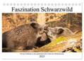 CALVENDO / Fett |  Faszination Schwarzwild (Tischkalender 2025 DIN A5 quer), CALVENDO Monatskalender | Sonstiges |  Sack Fachmedien