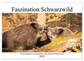 CALVENDO / Fett |  Faszination Schwarzwild (Wandkalender 2025 DIN A2 quer), CALVENDO Monatskalender | Sonstiges |  Sack Fachmedien