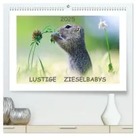 CALVENDO / Lang |  Lustige Zieselbabys (hochwertiger Premium Wandkalender 2025 DIN A2 quer), Kunstdruck in Hochglanz | Sonstiges |  Sack Fachmedien