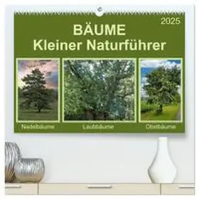 CALVENDO / Kleemann |  Bäume Kleiner Naturführer (hochwertiger Premium Wandkalender 2025 DIN A2 quer), Kunstdruck in Hochglanz | Sonstiges |  Sack Fachmedien