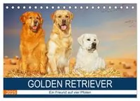 CALVENDO / Starick |  Golden Retriever - Ein Freund auf vier Pfoten (Tischkalender 2025 DIN A5 quer), CALVENDO Monatskalender | Sonstiges |  Sack Fachmedien