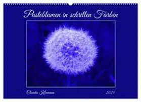 CALVENDO / Kleemann |  Pusteblumen in schrillen Farben (Wandkalender 2025 DIN A2 quer), CALVENDO Monatskalender | Sonstiges |  Sack Fachmedien