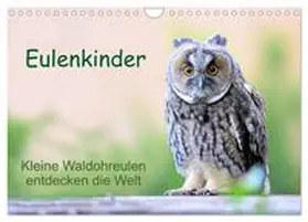 CALVENDO / Müller |  Eulenkinder - Kleine Waldohreulen entdecken die Welt (Wandkalender 2025 DIN A4 quer), CALVENDO Monatskalender | Sonstiges |  Sack Fachmedien