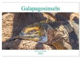 CALVENDO / pixs:sell |  Die Galapagosinseln - Santa Cruz Island (Wandkalender 2025 DIN A2 quer), CALVENDO Monatskalender | Sonstiges |  Sack Fachmedien