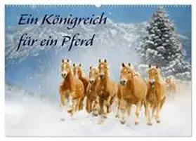 CALVENDO / Starick |  Ein Königreich für ein Pferd (Wandkalender 2025 DIN A2 quer), CALVENDO Monatskalender | Sonstiges |  Sack Fachmedien